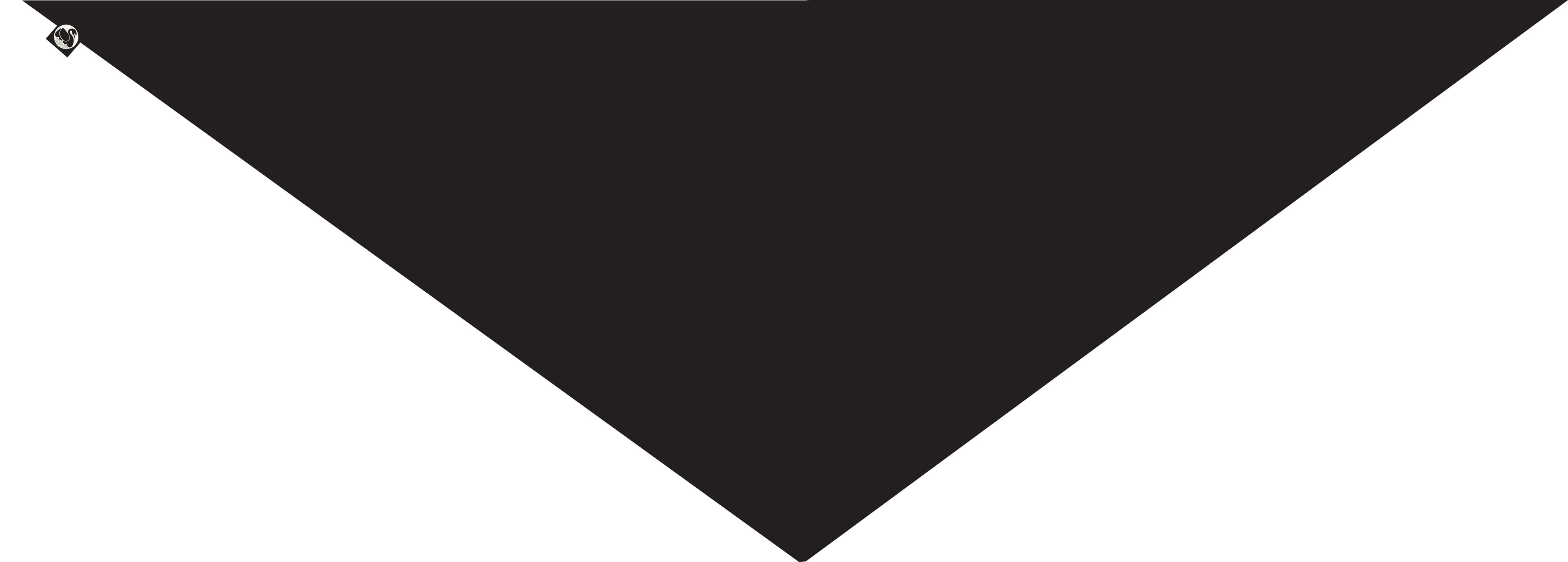 ESS - Danemarian Merino Scarf Black