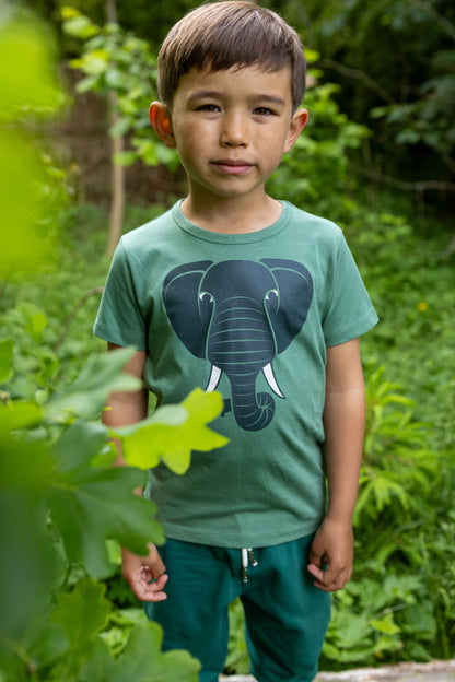 Dyrhide SS T Dry Bush ELEFANT