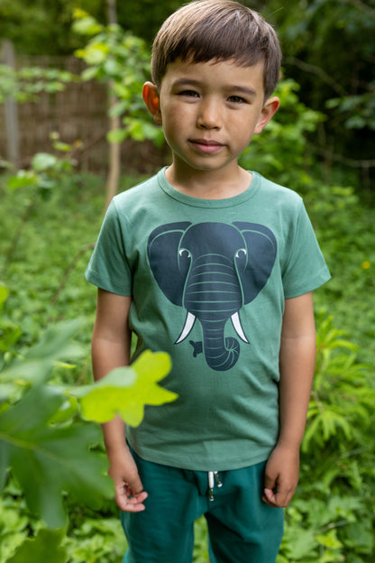 Dyrhide SS T Dry Bush ELEFANT