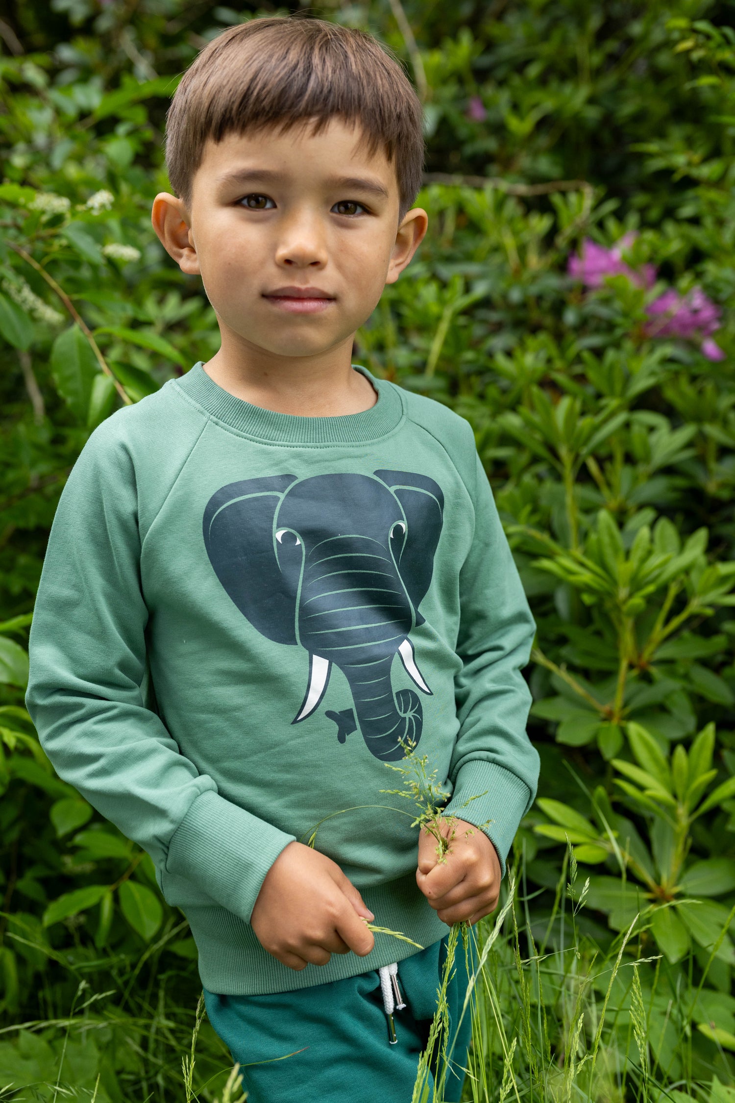 Dyrbellow Sweat Dry Bush ELFANT