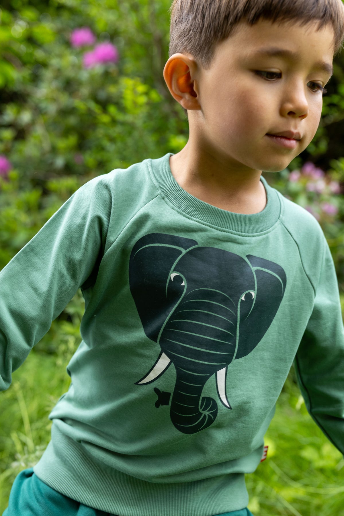 Dyrbellow Sweat Dry Bush ELEFANT