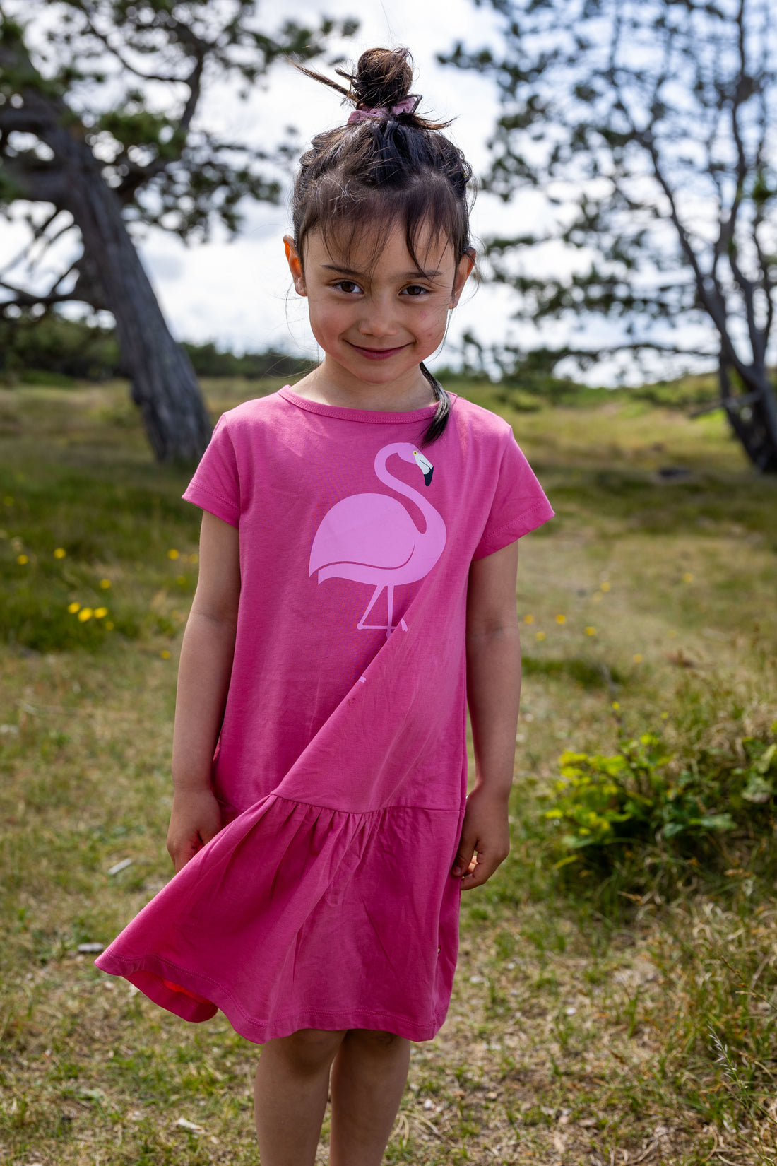 Dyrperky SS Dress Soft Cherry FLAMINGO