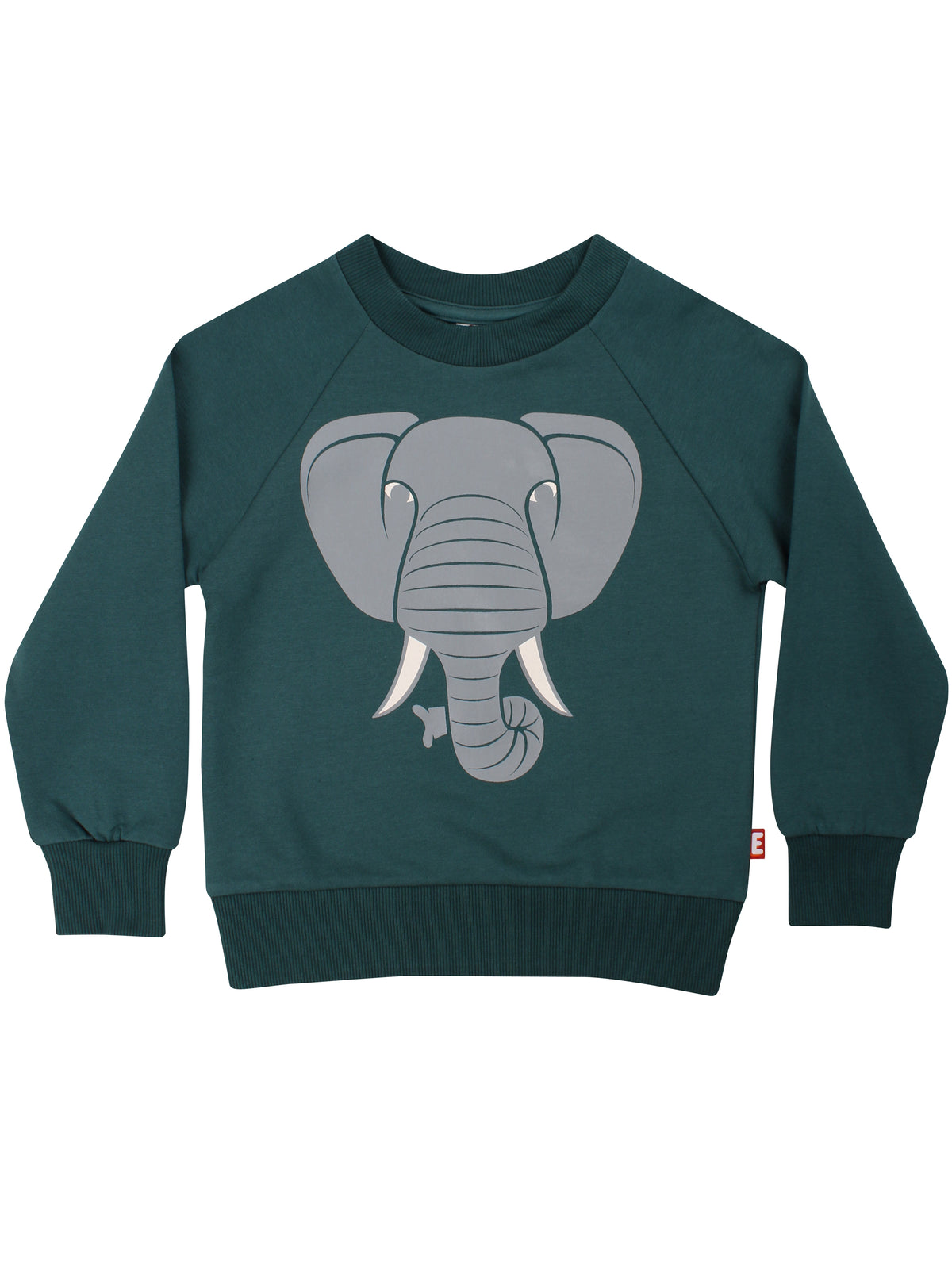 Skøn blågrøn sweatshirt til børn med print af elefant