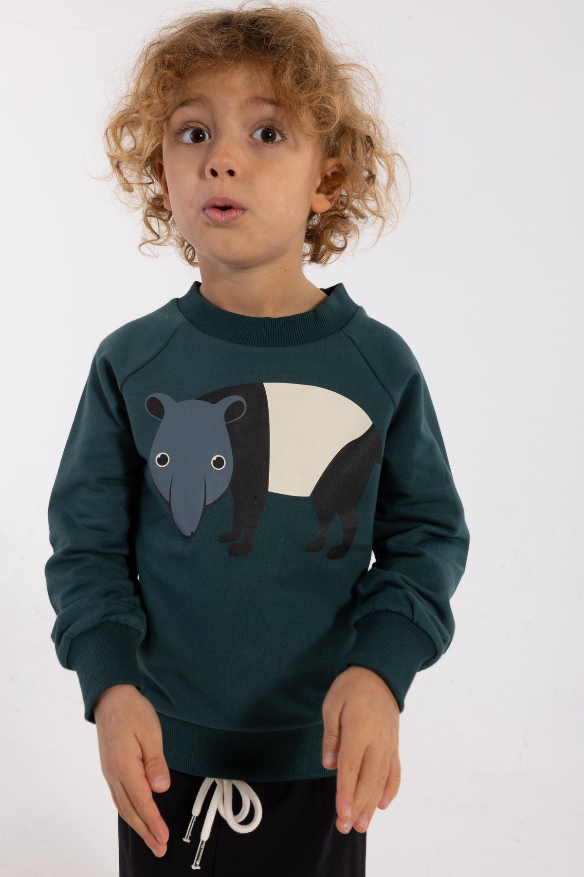 Skøn blågrøn sweatshirt til børn med print af myresluger
