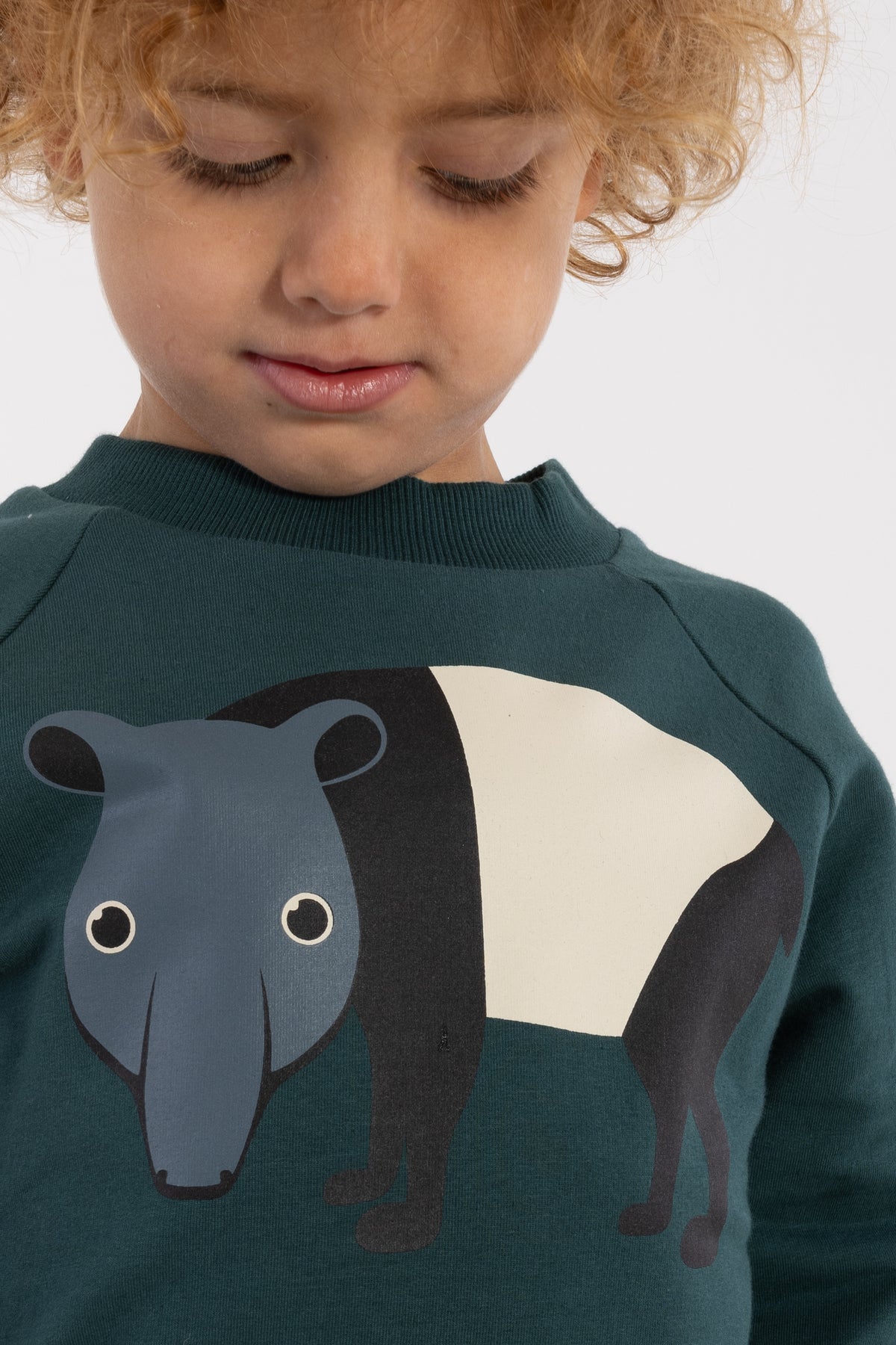 Skøn blågrøn sweatshirt til børn med print af myresluger