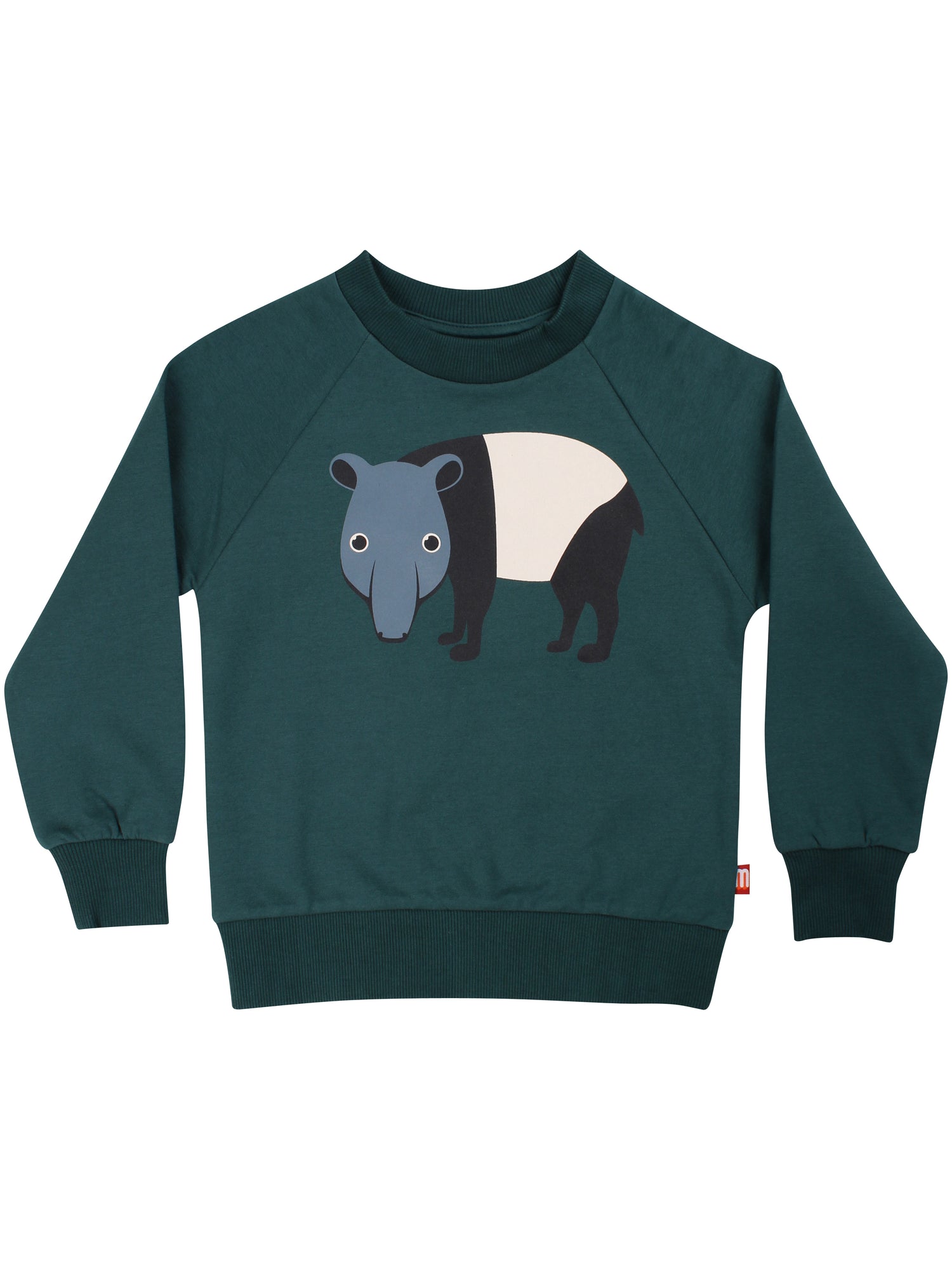 Skøn blågrøn sweatshirt til børn med print af myresluger