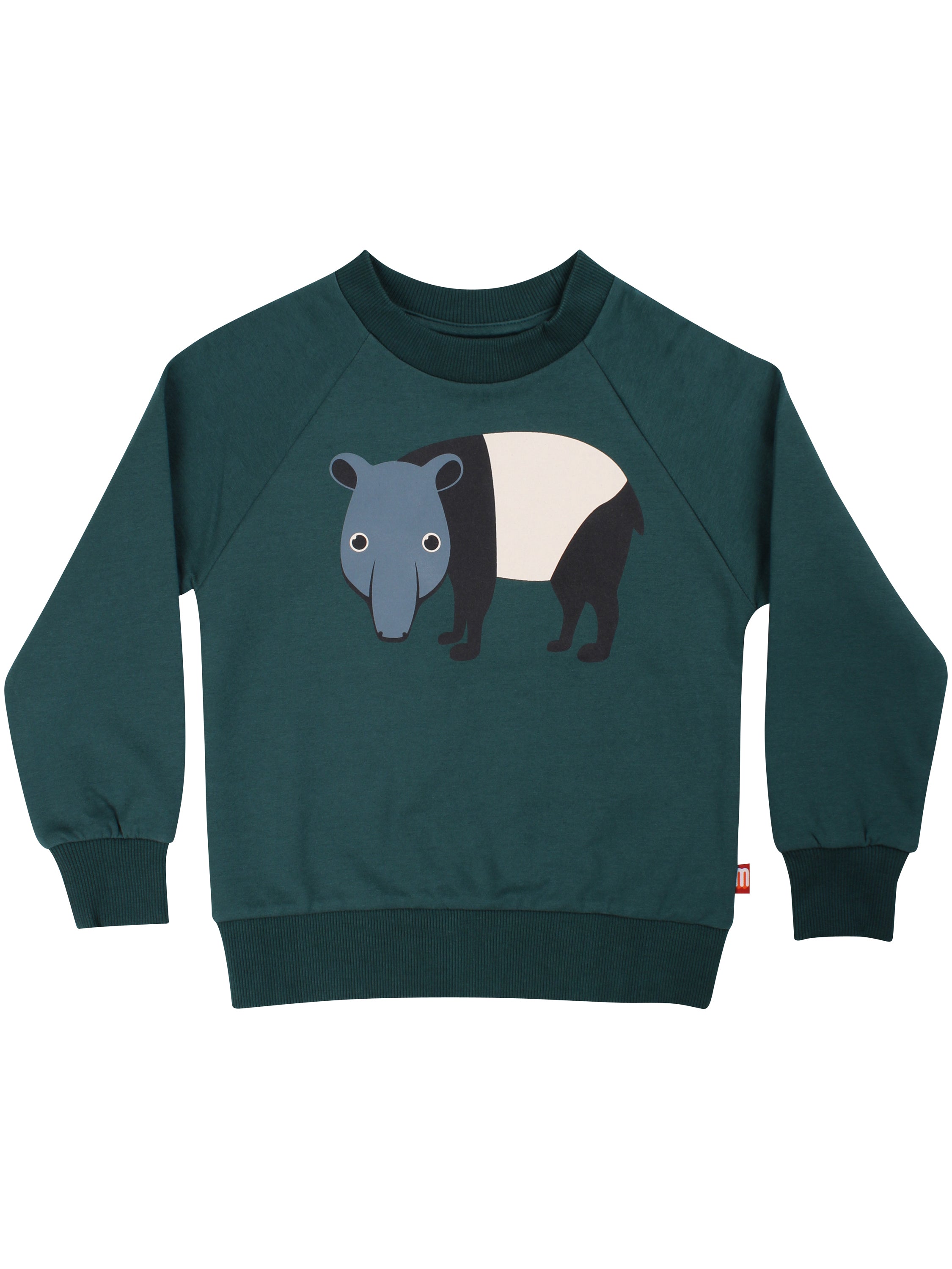 Skøn blågrøn sweatshirt til børn med print af myresluger