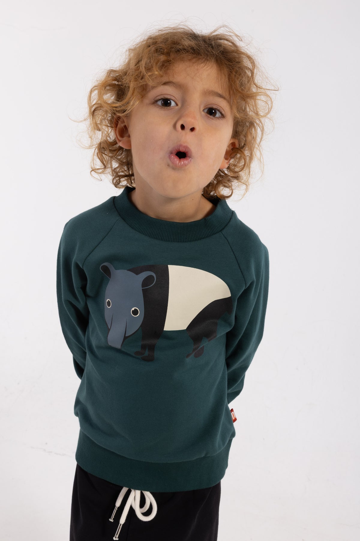 Skøn blågrøn sweatshirt til børn med print af myresluger