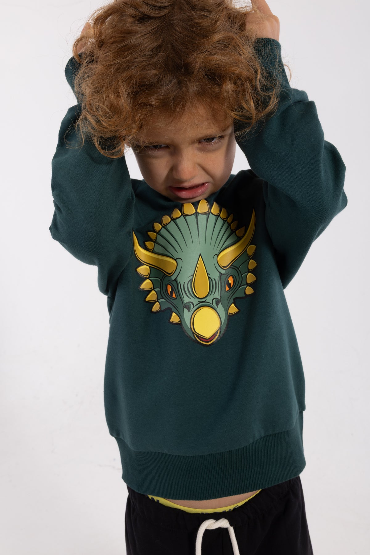 Skøn blågrøn sweatshirt til børn med print af triceratops