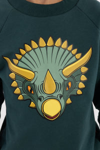 Dyrbellow Sweat Canard TRICERATOPS