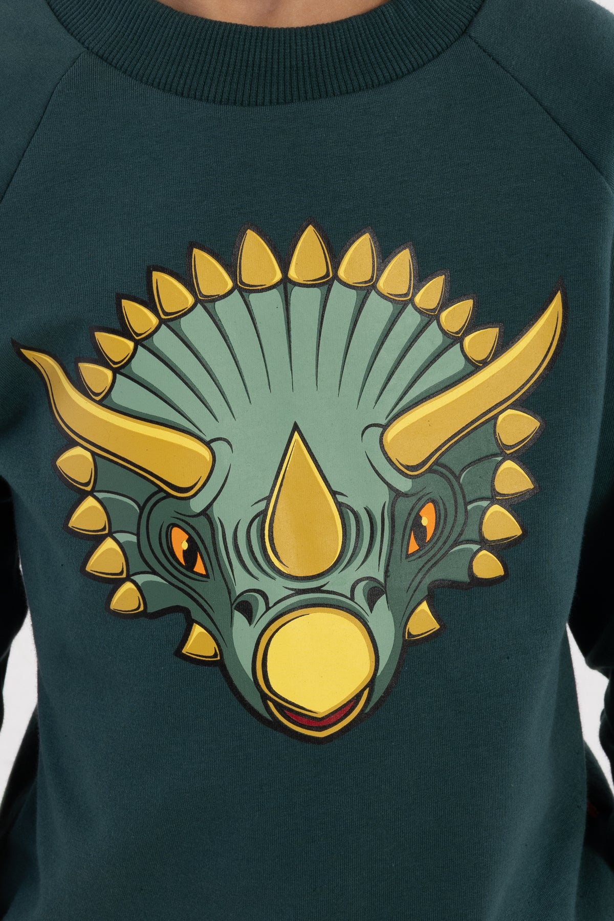 Skøn blågrøn sweatshirt til børn med print af triceratops