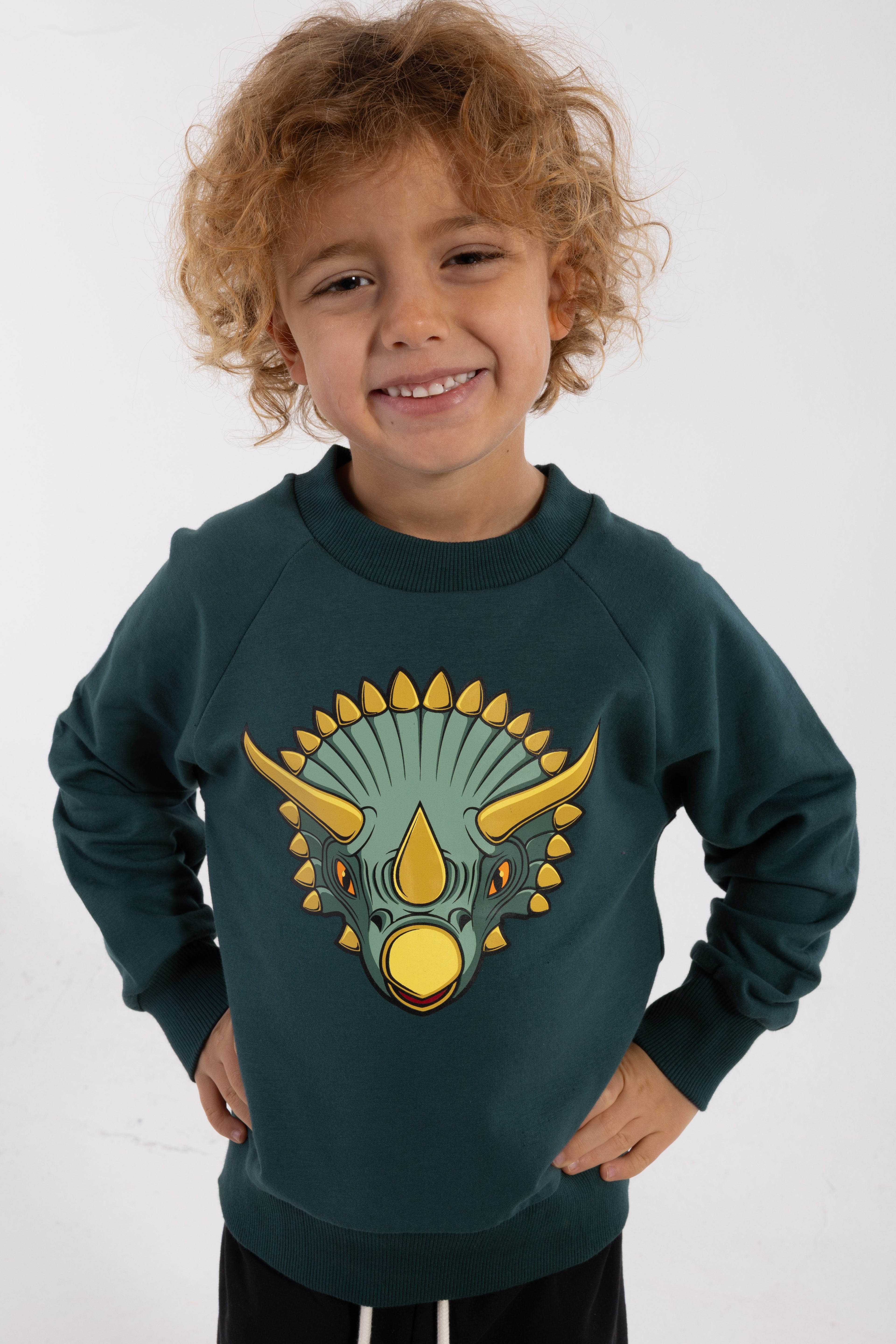 Skøn blågrøn sweatshirt til børn med print af triceratops