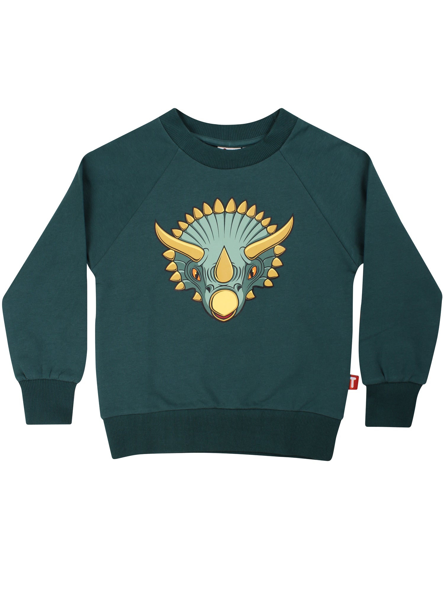 Skøn blågrøn sweatshirt til børn med print af triceratops