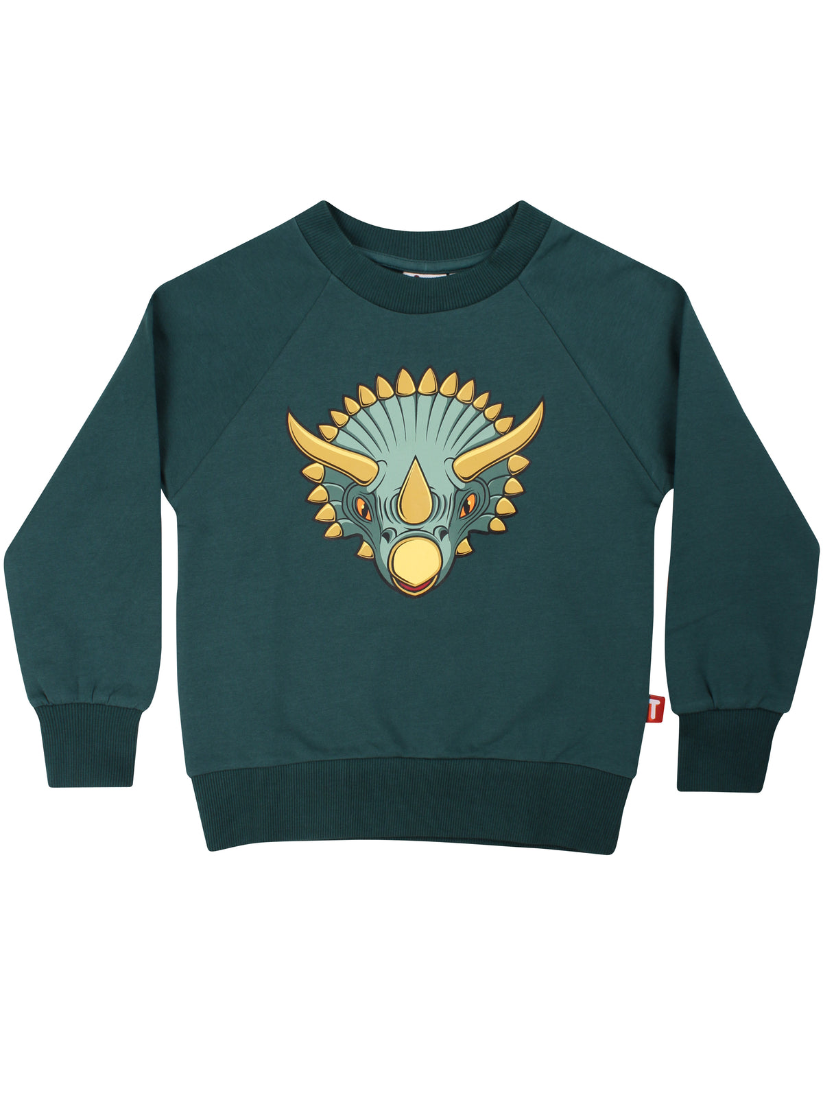 Skøn blågrøn sweatshirt til børn med print af triceratops