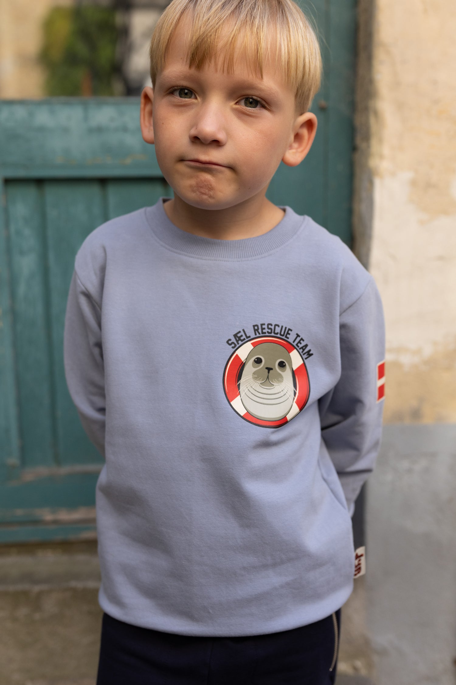 Dyrepasser Sweat Lt Blue Grey SAEL RESCUE