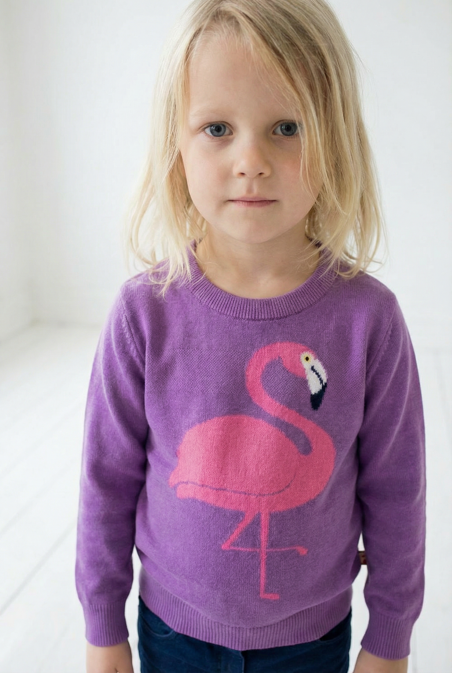 Dyrarctic Cotton Sweater Violet FLAMINGO