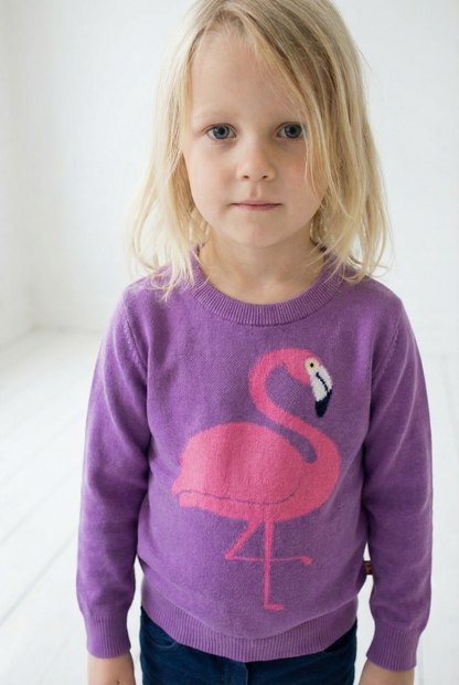 Dyrarctic Cotton Sweater Violet FLAMINGO