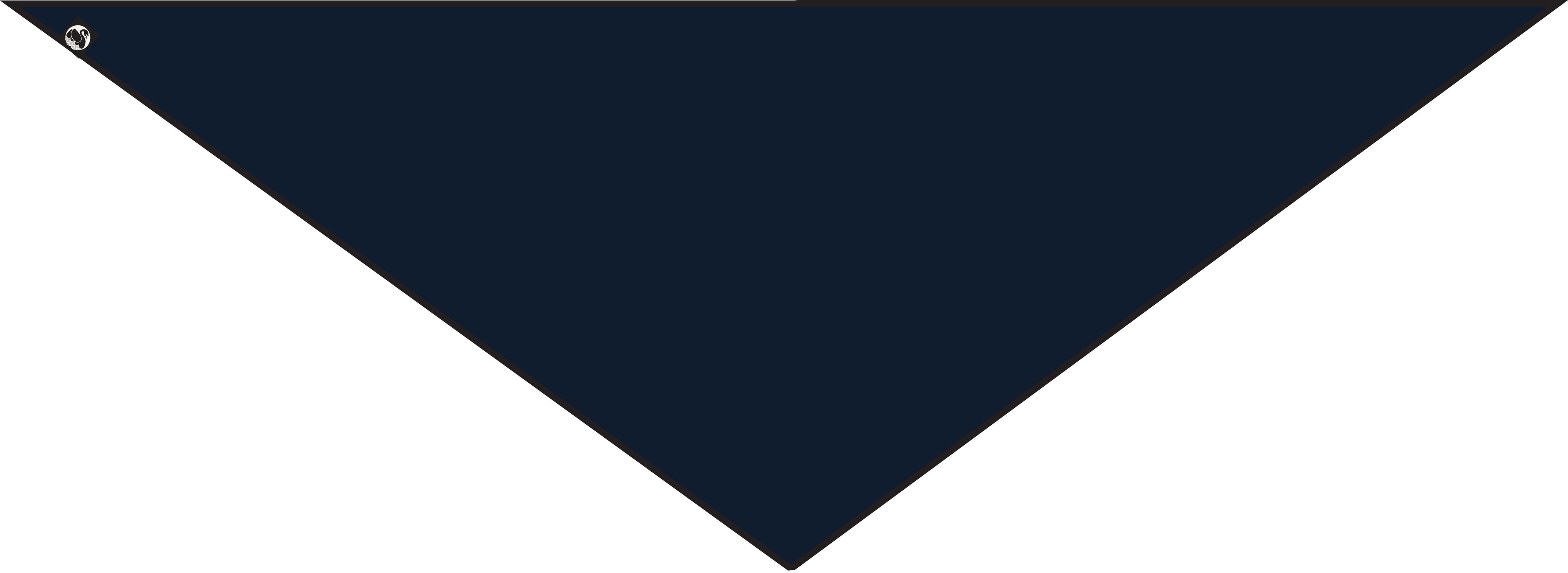 ESS - Danemarian Merino Scarf Navy