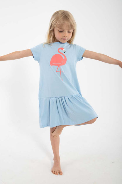 Dyrperky SS Dress Baby Blue FLAMINGO