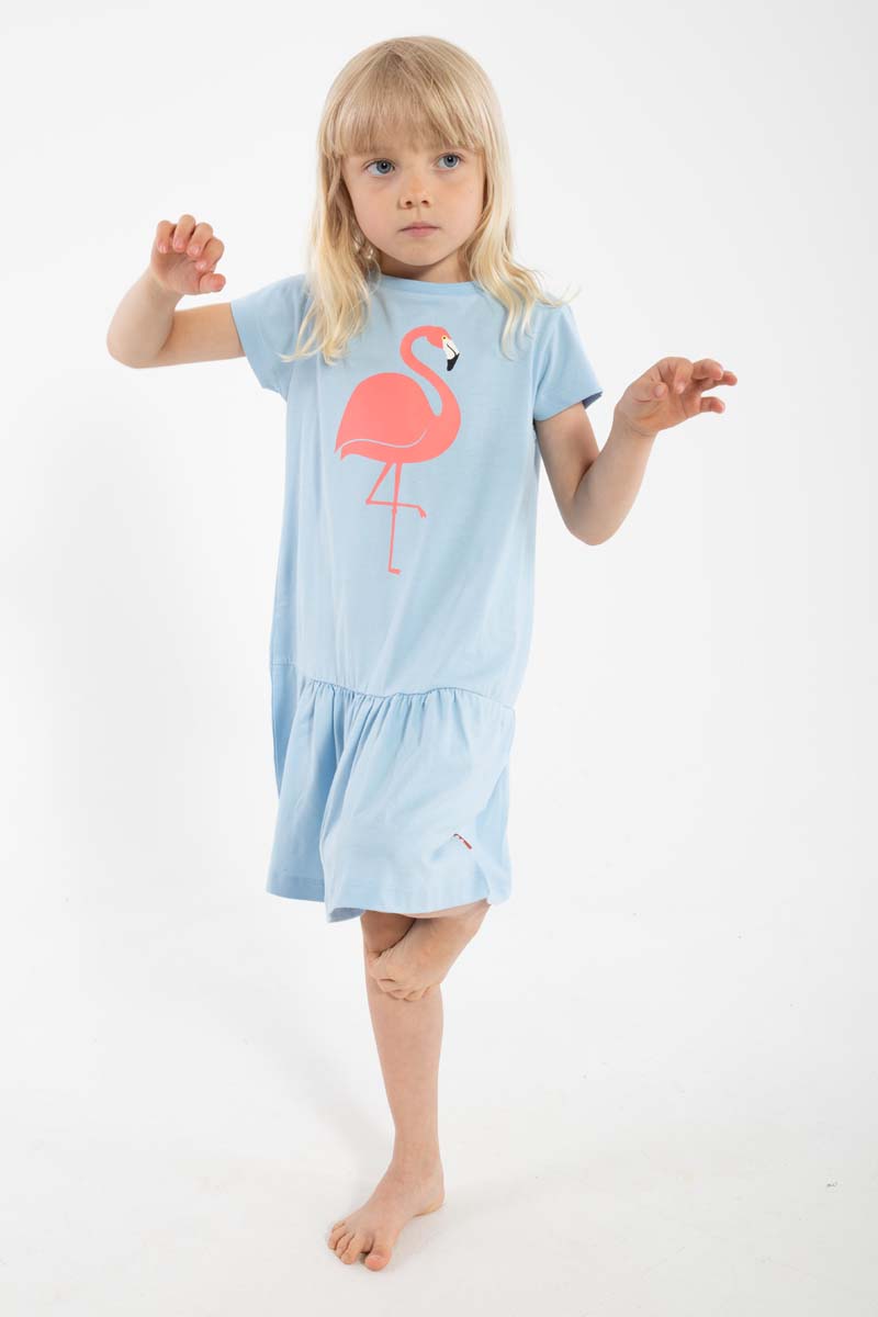 Dyrperky SS Dress Baby Blue FLAMINGO