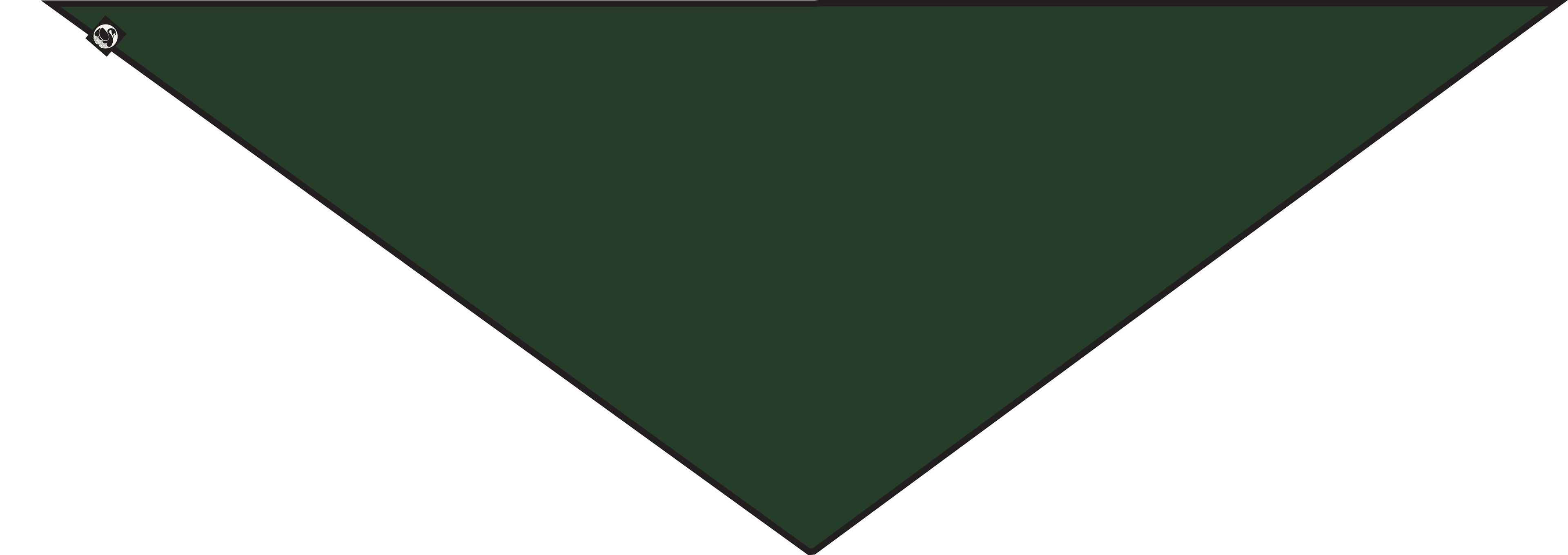 ESS - Danemarian Merino Scarf Army