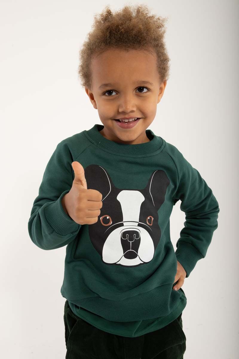 Sweater til  Børn med Fransk Bulldog 