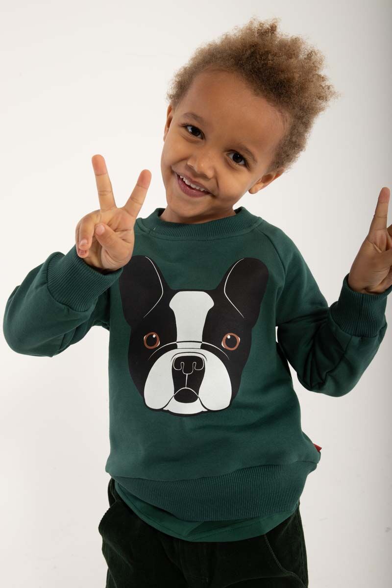 Sweater til  Børn med Fransk Bulldog 