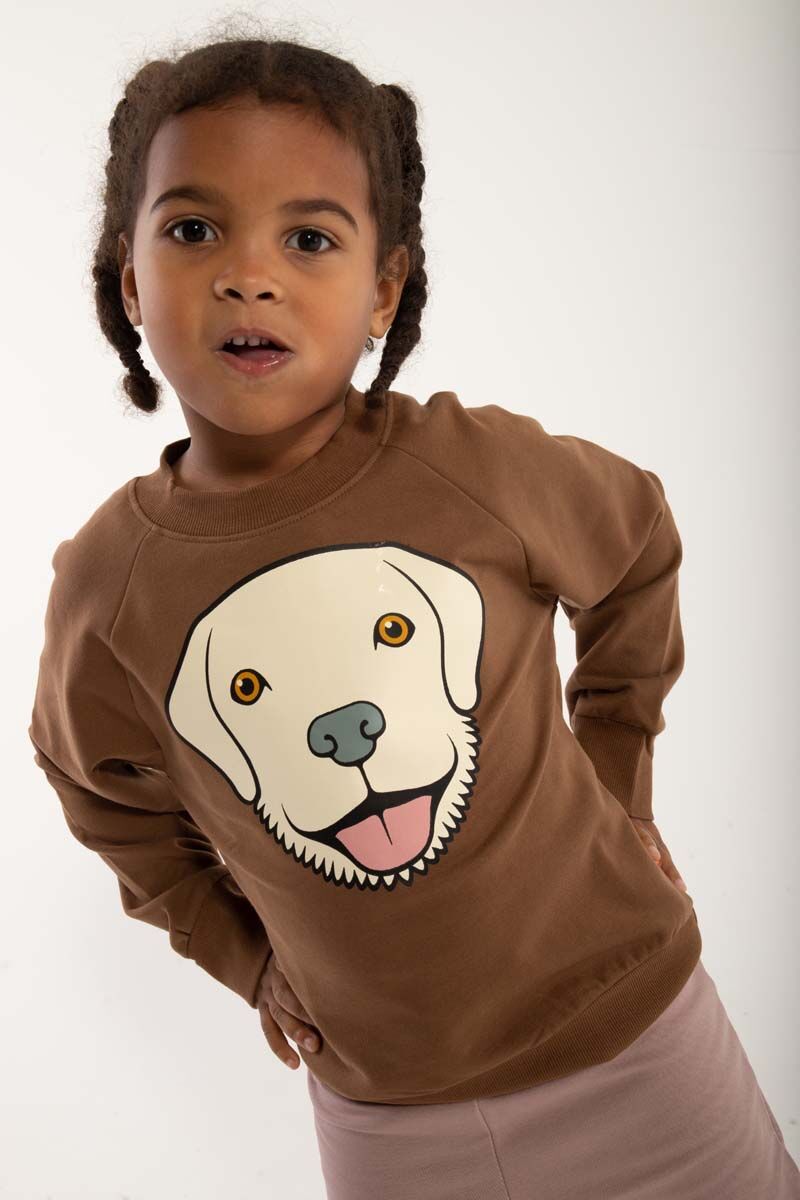 Dyrbellow Sweat Brown Beige RETRIEVER