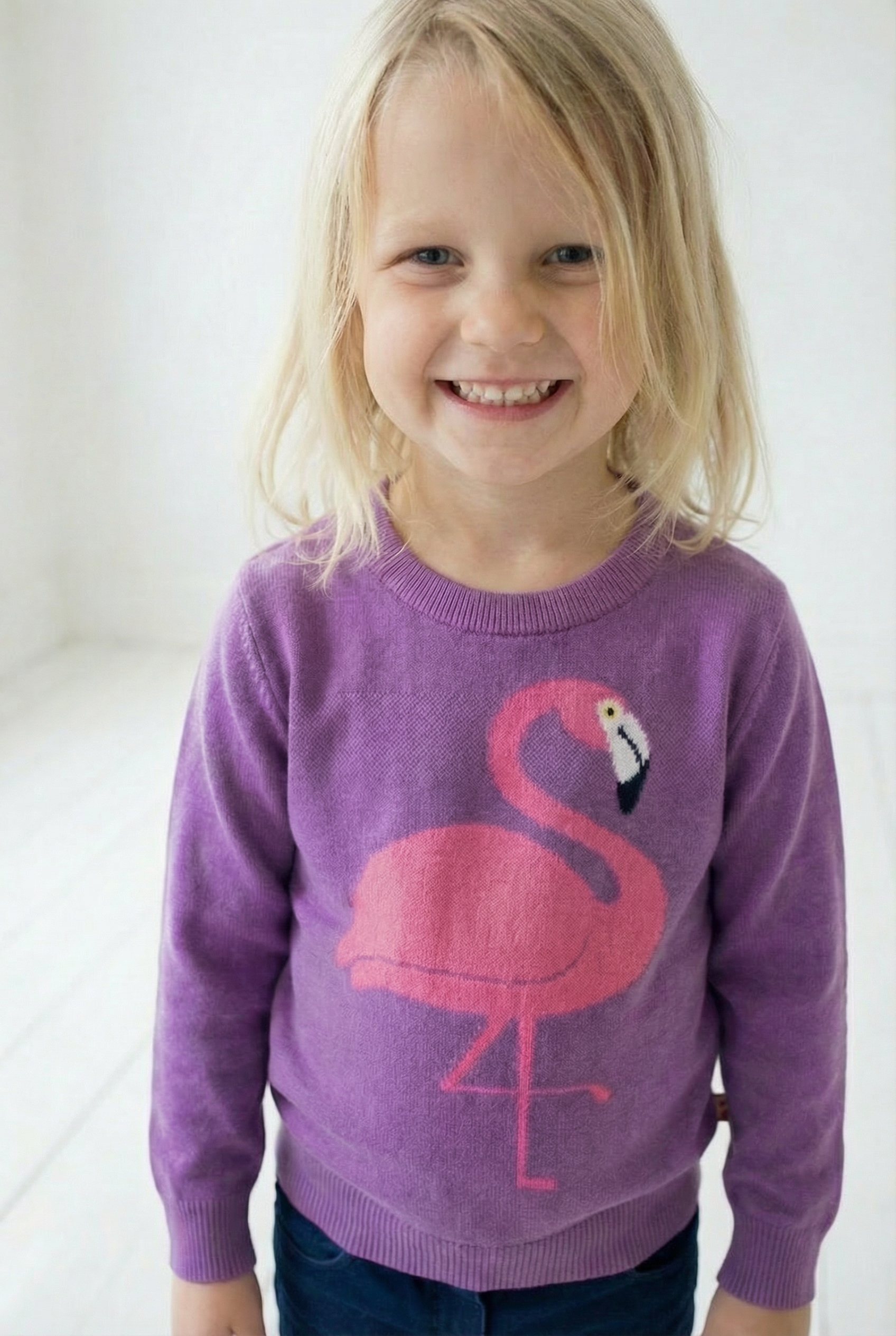 Dyrarctic Cotton Sweater Violet FLAMINGO