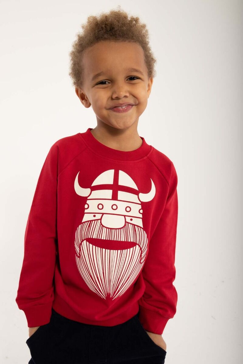 Sweater til børn med viking 
