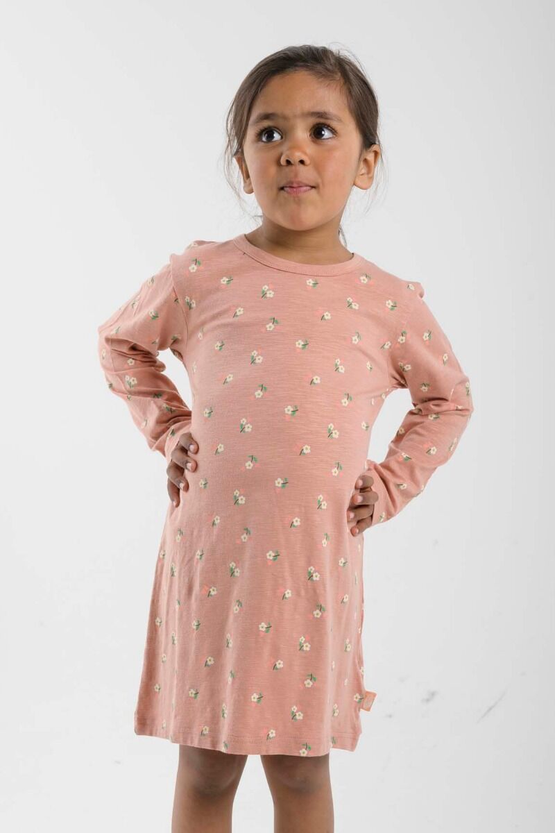 ORGANIC - Danetulip Nightgown Rose Beige MINIFLOWER