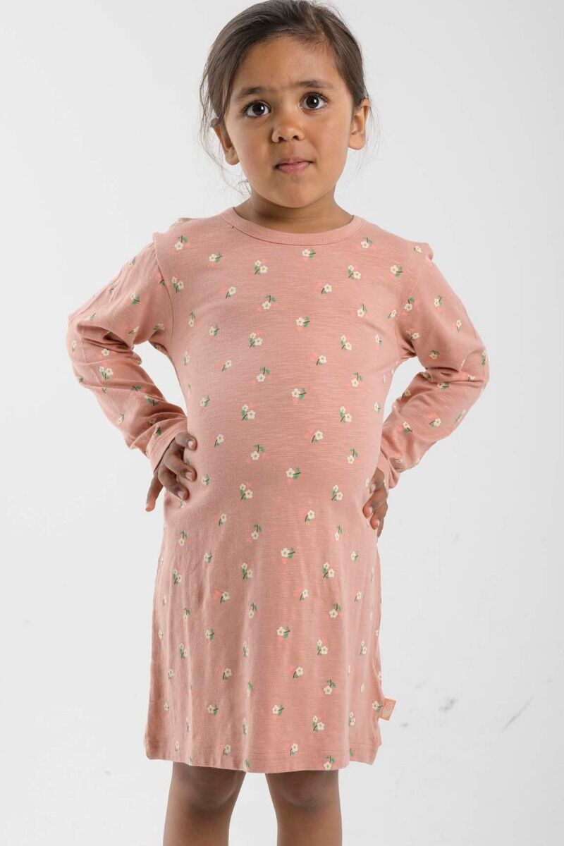 ORGANIC - Danetulip Nightgown Rose Beige MINIFLOWER