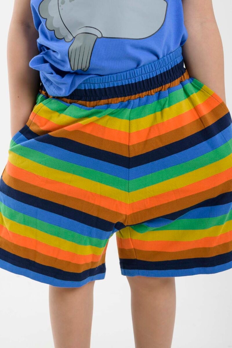 ORGANIC - Danesolskin Shorts Specturm