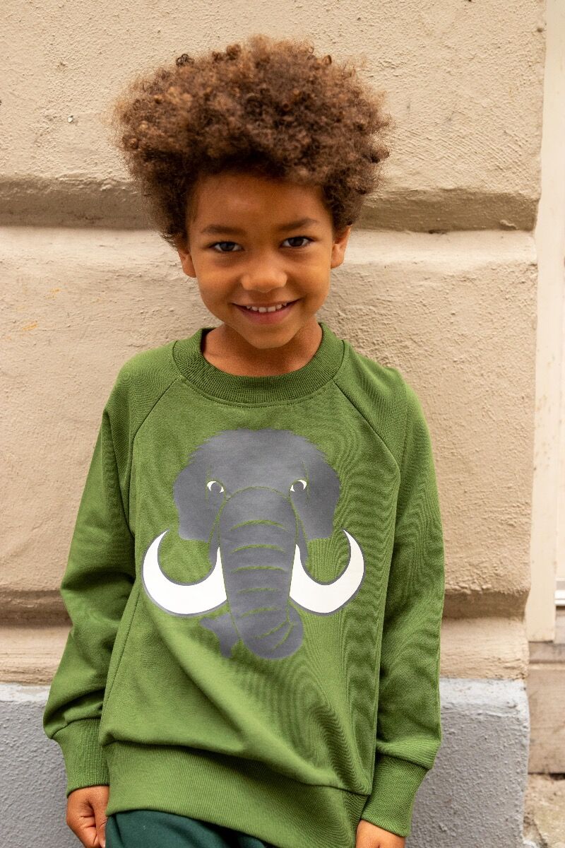 Sød grøn sweatshirt til børn med print af en mammut