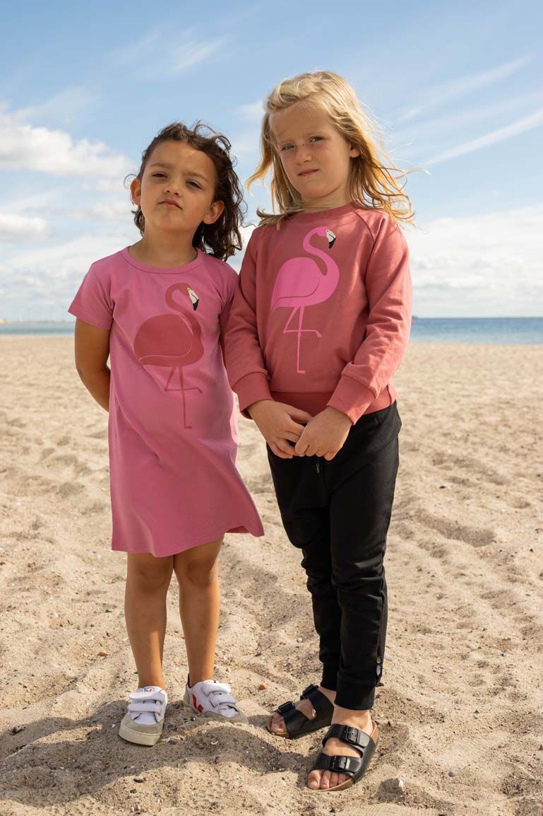 Sweater til Børn med Flamingo