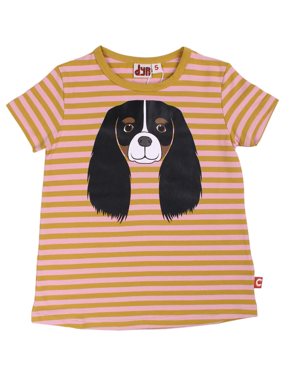 Dyrwildlife Tee AOP/STRIB Occer/Soft Pink CAVALIER
