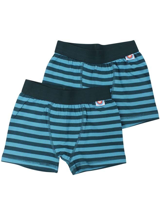 BIFROST - 2Pak Underwear Boys Dark Duck/Aqua Ice