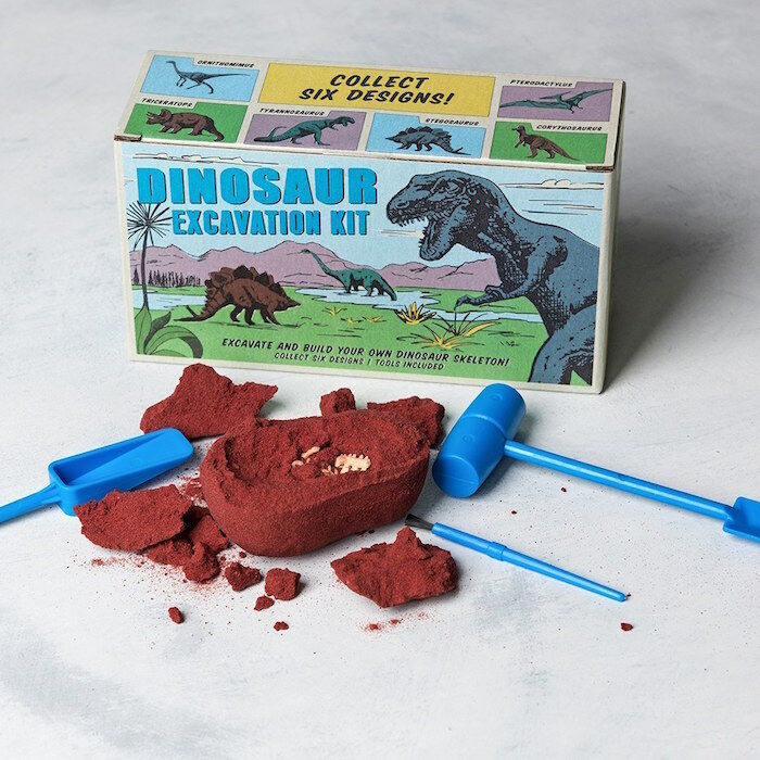 RL Excavation Kit Dinosaur