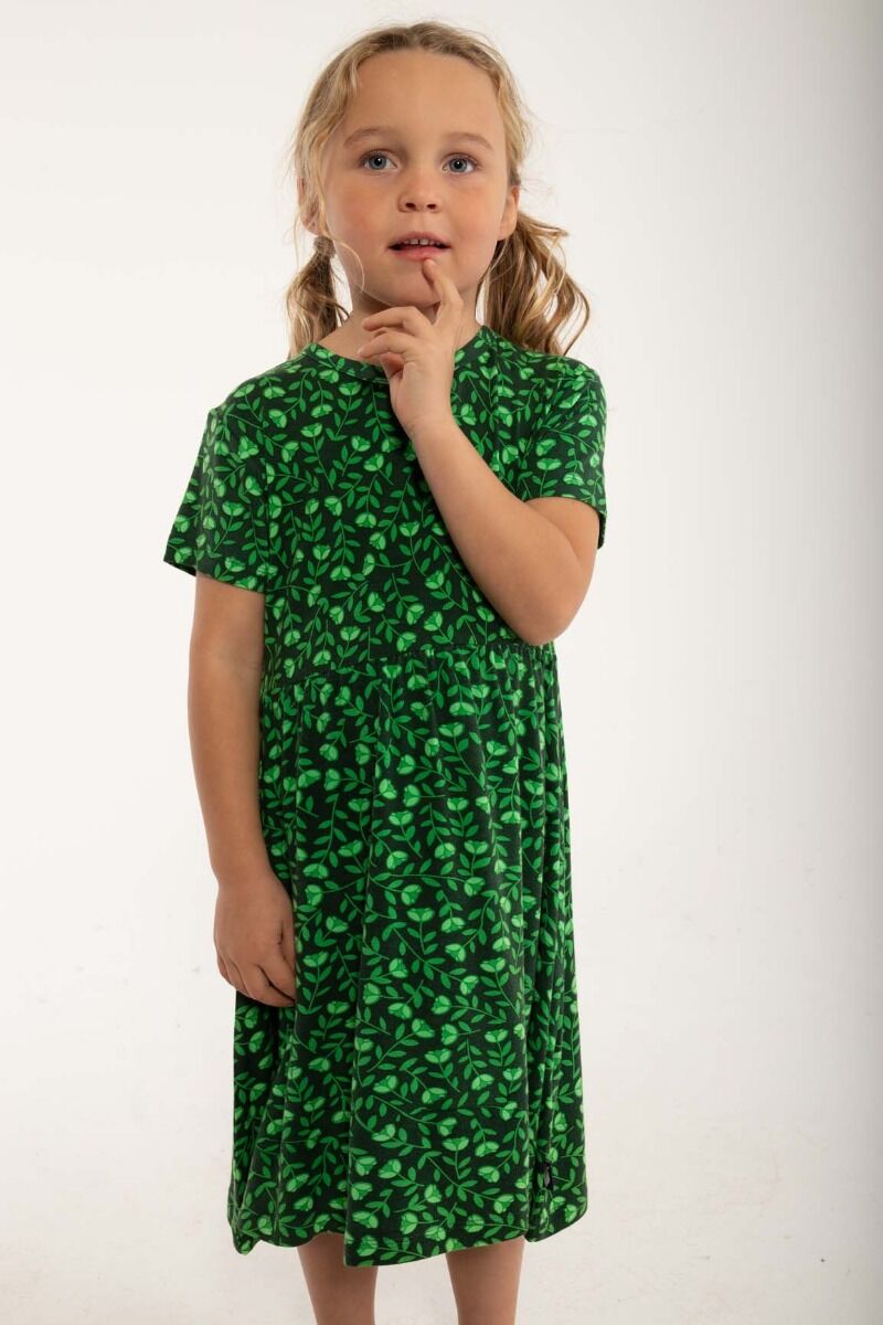 Danelollipop Dress SS Green FLEURIE