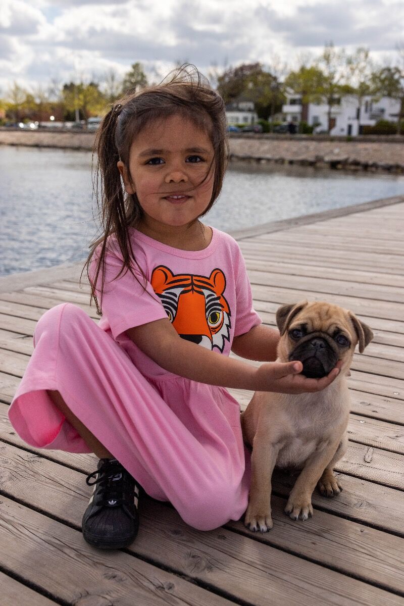 Dyrpower Dress Pastel Pink TIGER