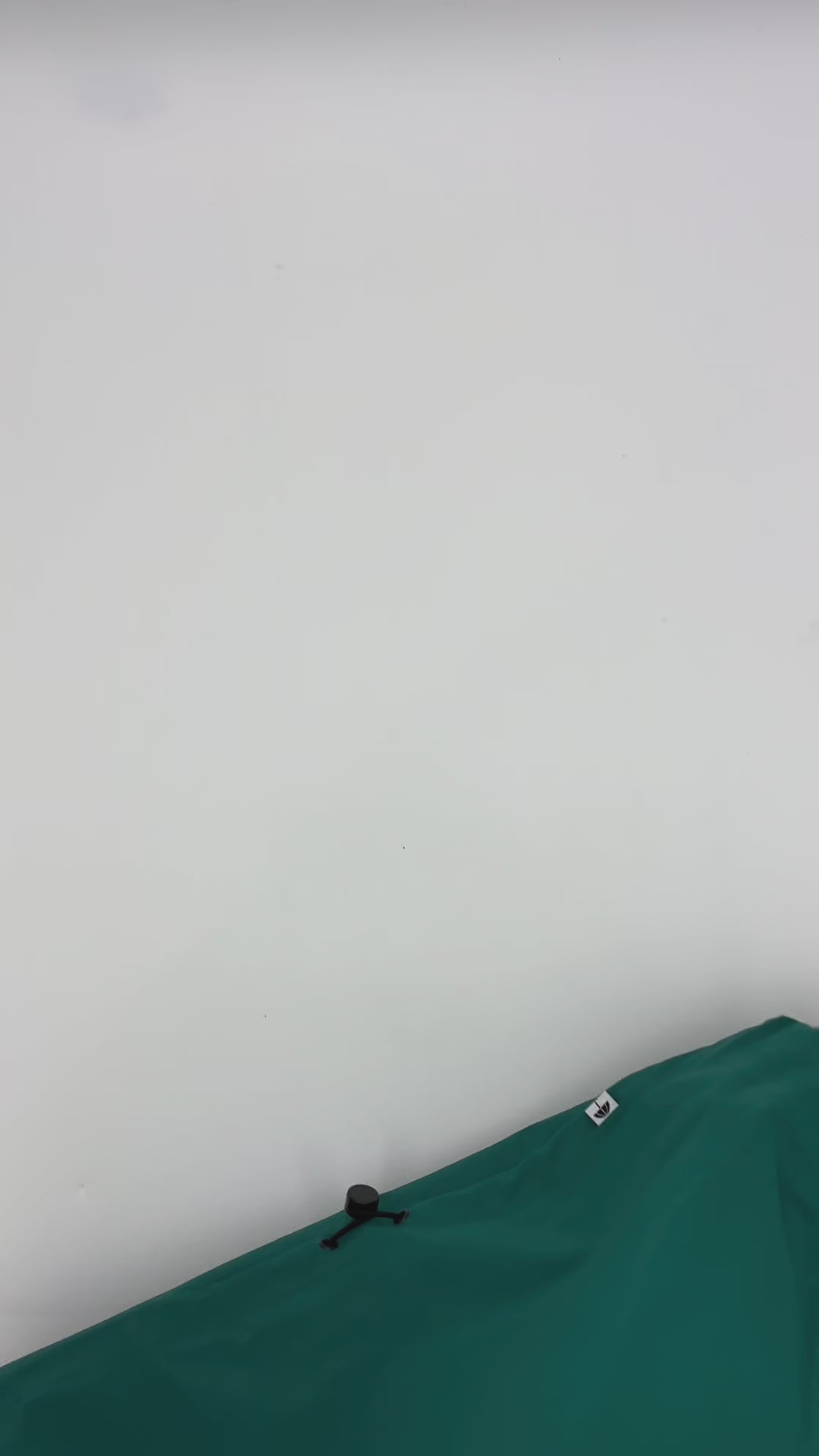 The Danedogwalker Raincoat Dark Pine