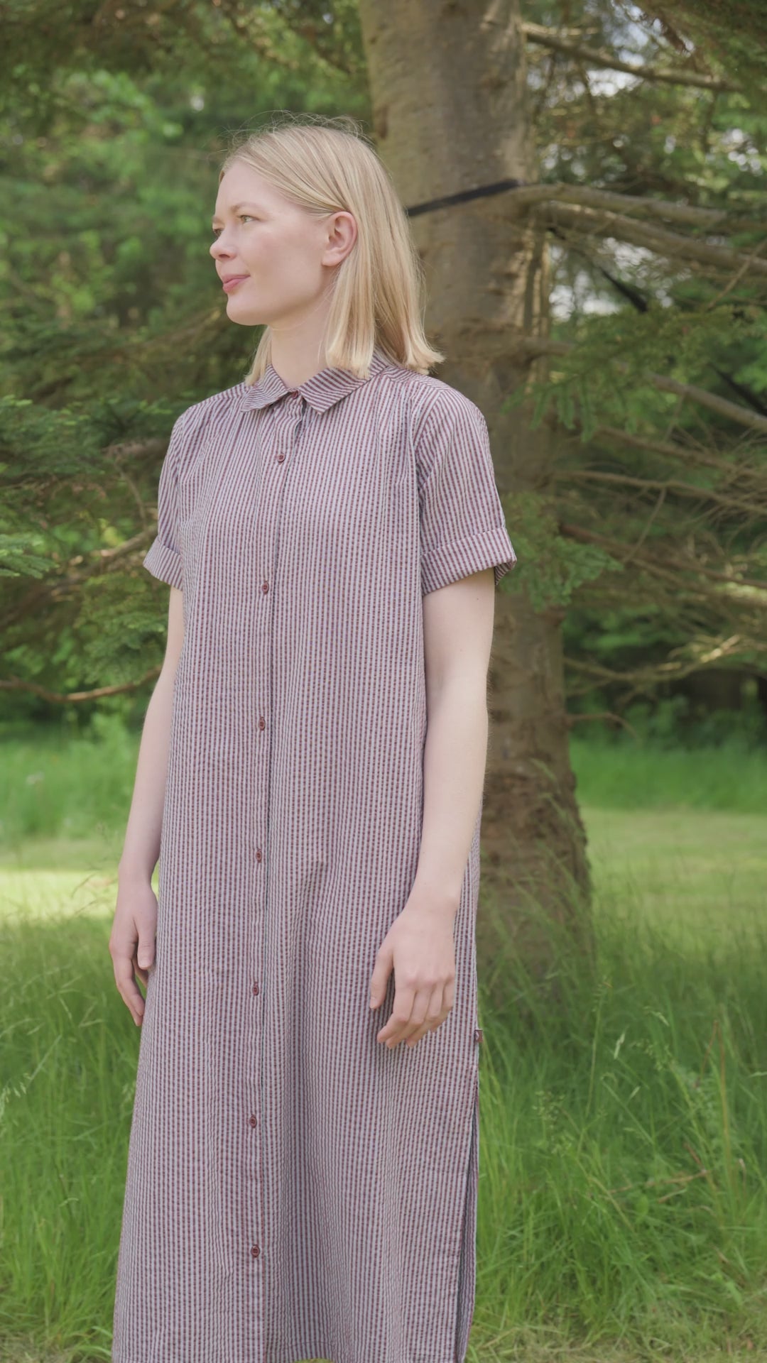 Danepippi SS Seersucker Dress Dk Brick/Lt Blue