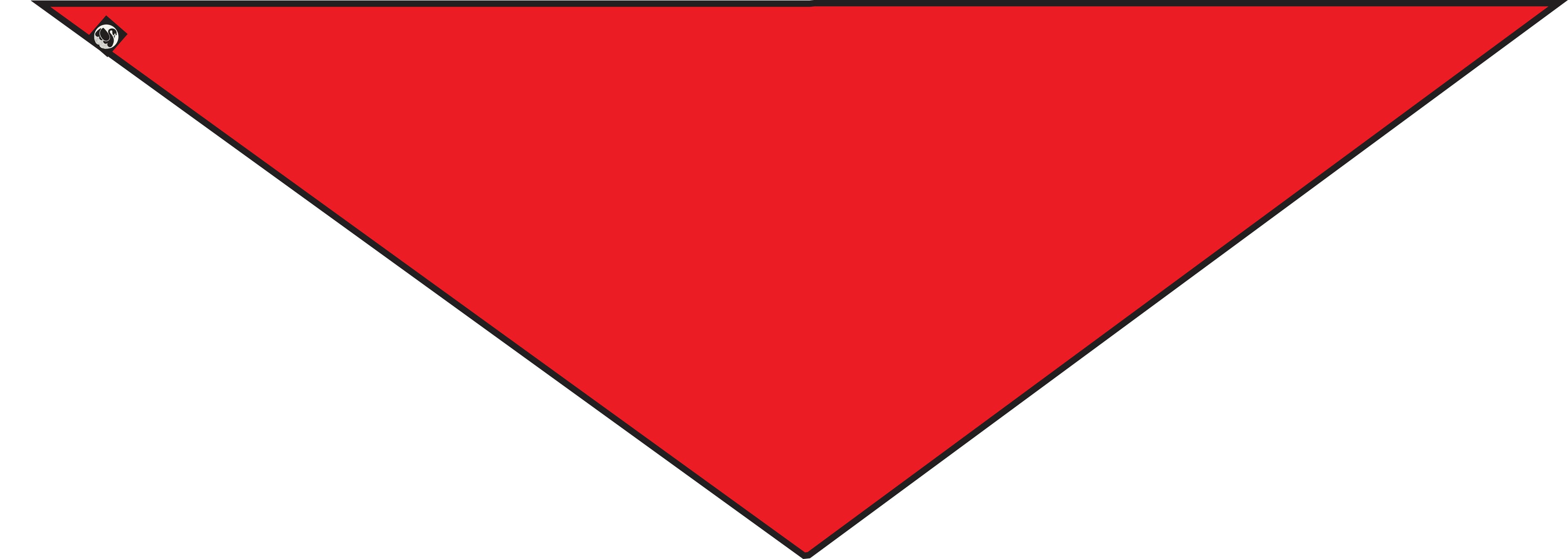 ESS - Danemarian Merino Scarf Red