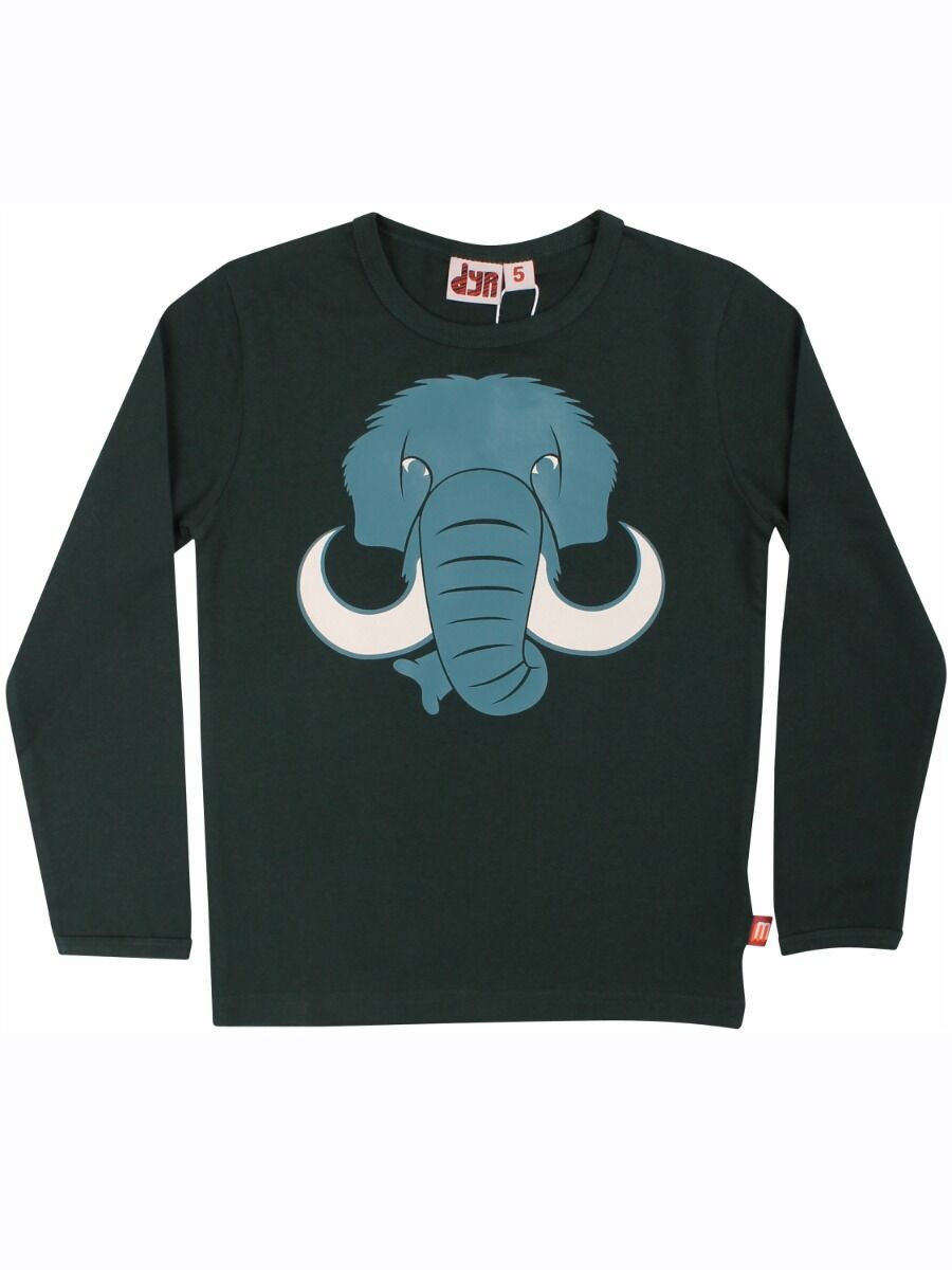 Dyrroar T Black Green MAMMUT