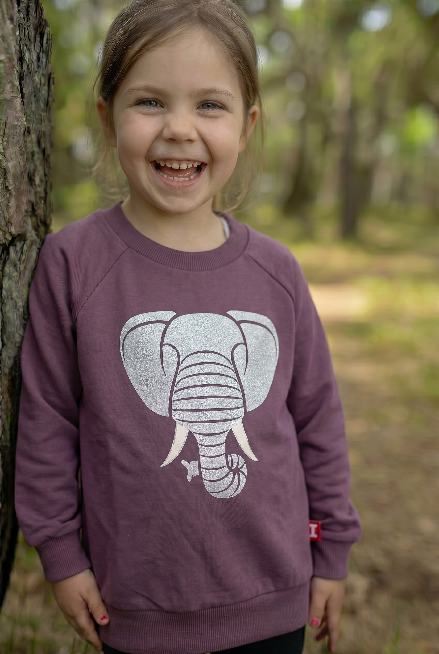 Dyrbellow Sweat Grey Plum ELEFANT
