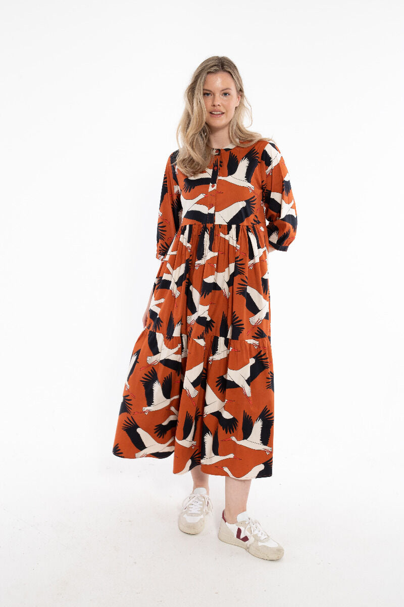 Danegoodie dress Rust BIG STORK