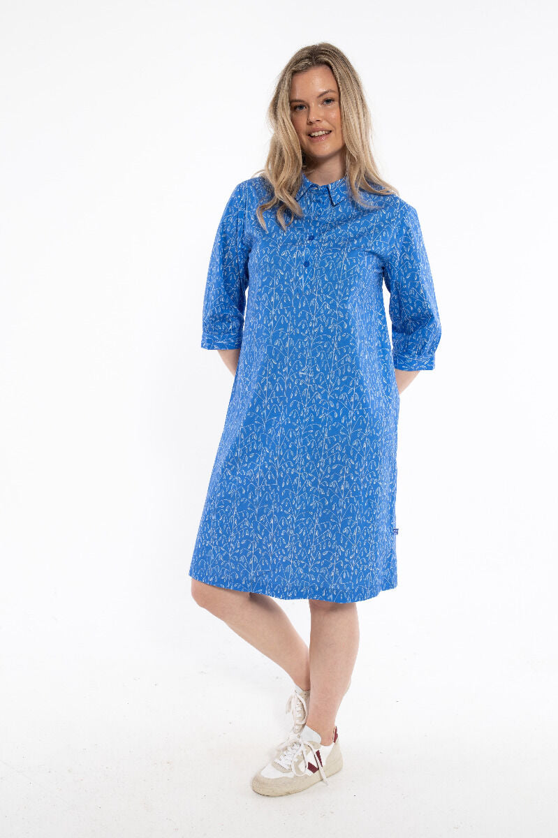 Danecarnation Poplin Dress Cold Blue/Chalk OATS