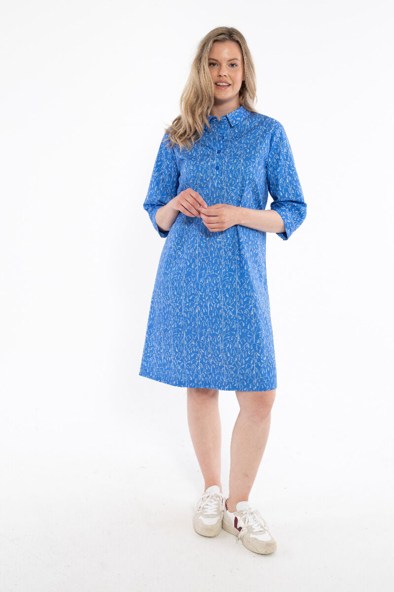 Danecarnation Poplin Dress Cold Blue/Chalk OATS