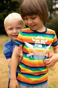 ORGANIC - Danechives tee Colorama PIRATE