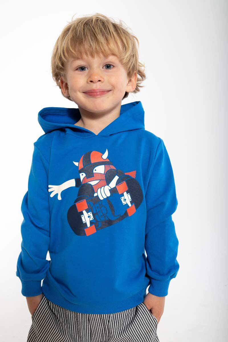 Daneredwood Hoodie Blue SHREDVIK